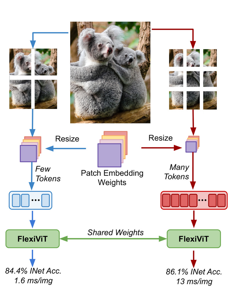 FlexiViT: One Vision Transformer for All Patch Sizes—Deploy Faster or More Accurate Models Without Retraining